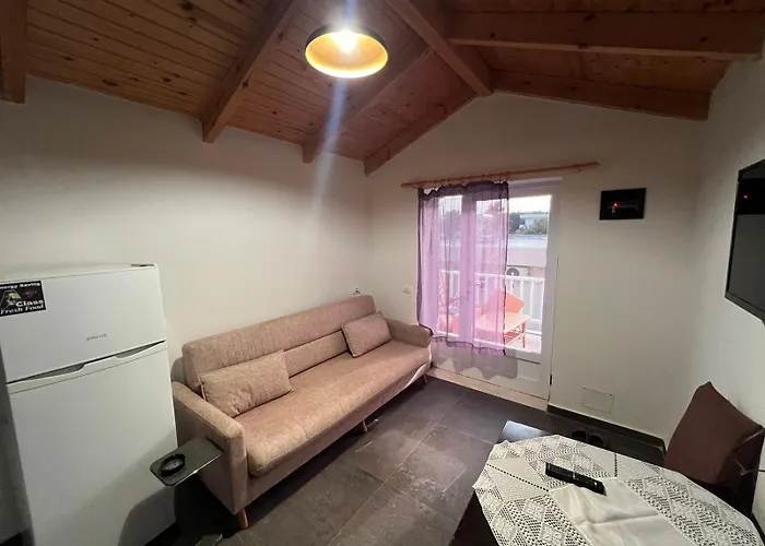 Guest Arbri